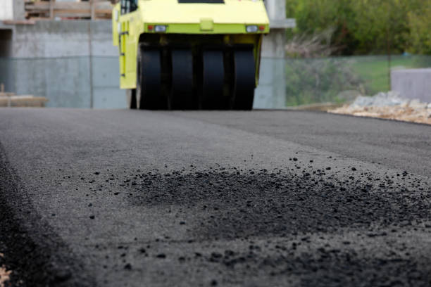 Best Commercial Driveway Pavers  in Palm Springs North, FL