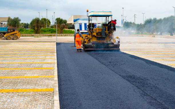Best Driveway Paving Contractor  in Palm Springs North, FL