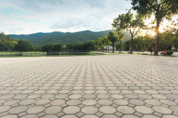 Best Driveway Repair Near Me  in Palm Springs North, FL