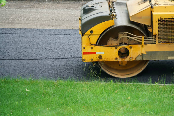 Best Professional Driveway Pavers  in Palm Springs North, FL