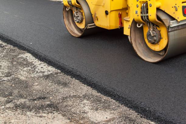 Best Residential Paver Driveway  in Palm Springs North, FL